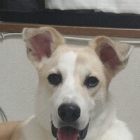 そら