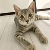 ぱちも