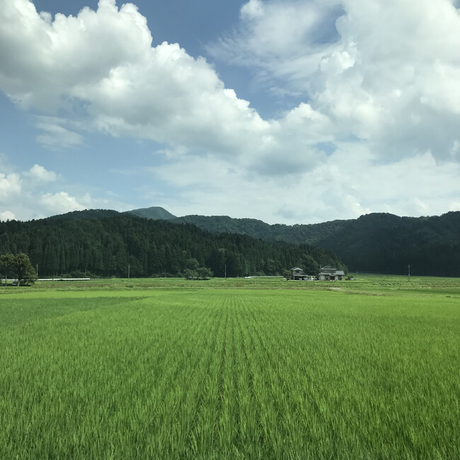 こう☆けんのカバー写真
