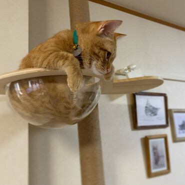の写真