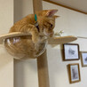 の写真