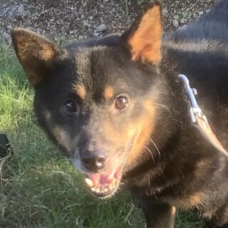 元気いっぱいリク君