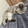 ヨシヒト61