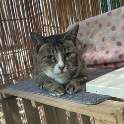 「大丈夫？？」サムネイル2