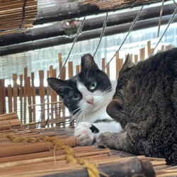 「大丈夫？？」サムネイル3