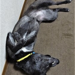 「9月1日」サムネイル2