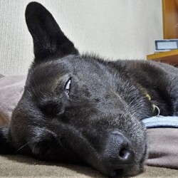 「9月1日」サムネイル3