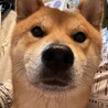 よし1980