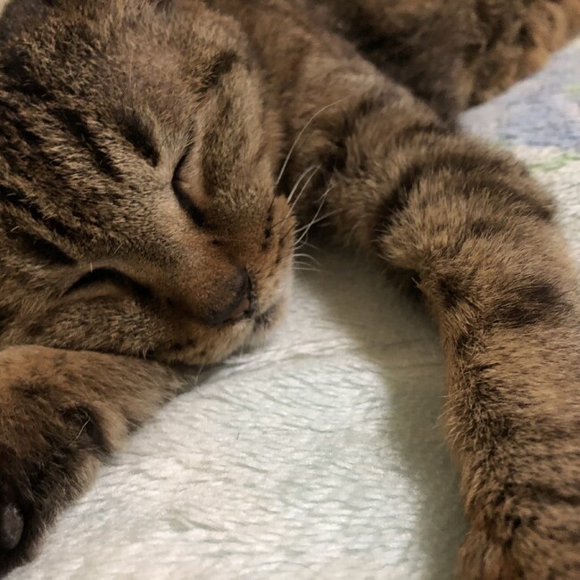 keigonのカバー写真