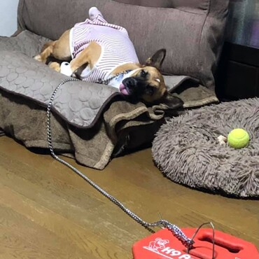 どーしてこーなるの？