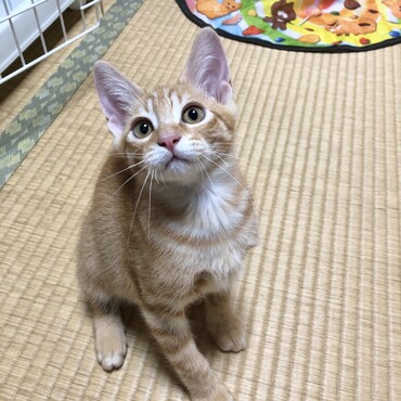 の写真