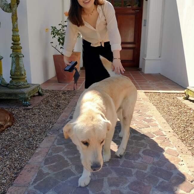 chihiroslifeのカバー写真