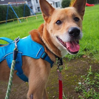 「みのる」男の子