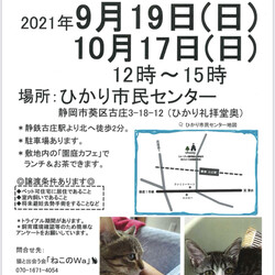 ねこのWa猫譲渡会　静岡市葵区