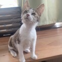 甘えん坊で食いしん坊❤️パピコちゃん