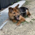 中型MIXのはいはい