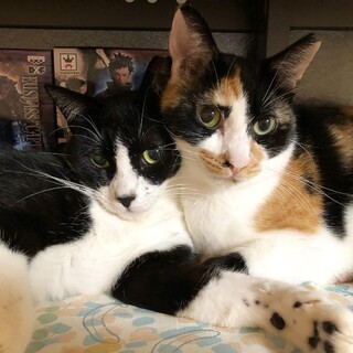 ★仲良し親子★