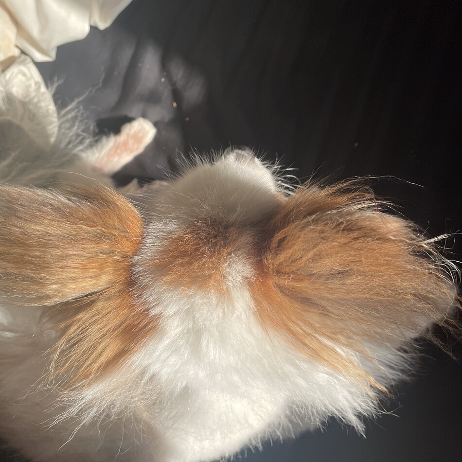 のののカバー写真