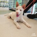 ◆ご縁を待っています◆サブロー君