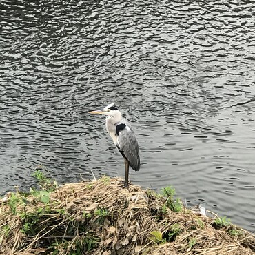 の写真