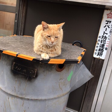の写真