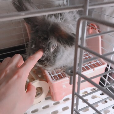 の写真
