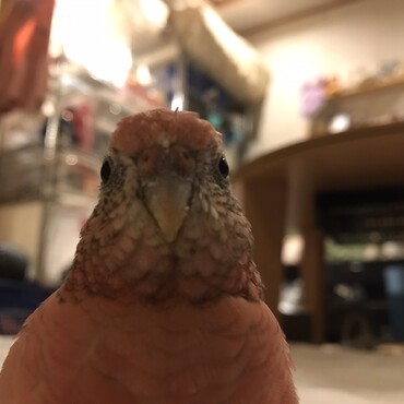の写真