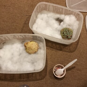 の写真