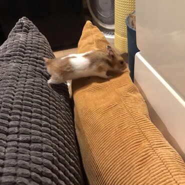 の写真