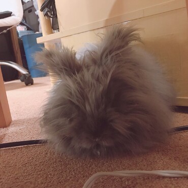 の写真