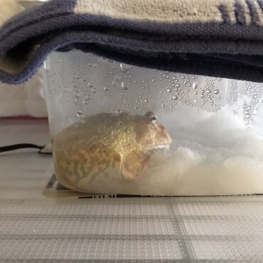 の写真