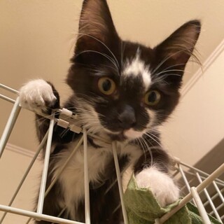 ふわふわのはなちゃん♡