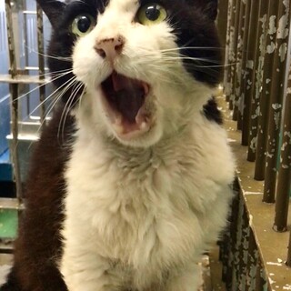 体調不良のため募集を終了します