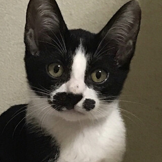 穏やかな男の子　染谷くん