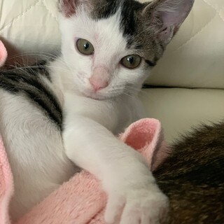 虐待されて捨てられた子