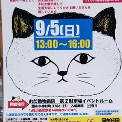 保護猫譲渡会