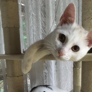 9/5 姪浜での譲渡会に参加