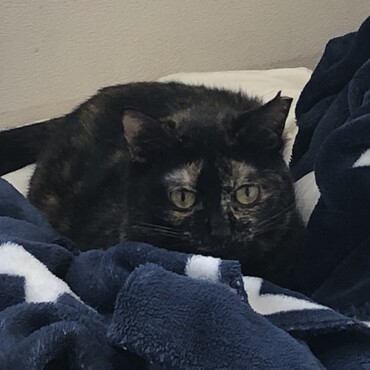 さび子の写真