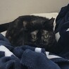 の写真