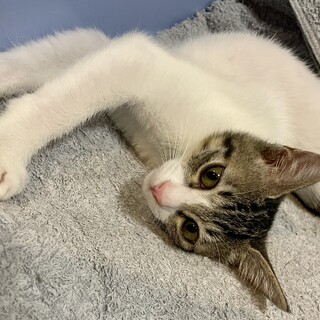 あまえん坊☆きょうちゃん