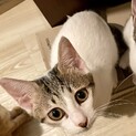 こちらも甘えん坊☆あすちゃん