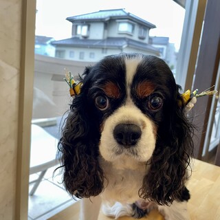 おだやかな性格です！