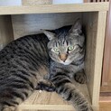 人が大好きな男の子トト君