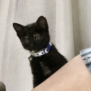 新しい家族が見つかったよ♀