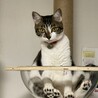振り向いたらこんな格好してた