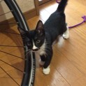 下僕さん募集中です。