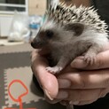 ありがとうございました。