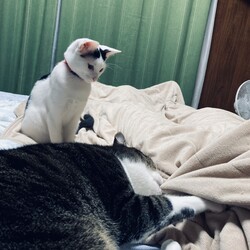まつりさん、そっとしてあげてｗ