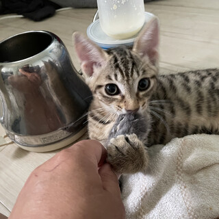 癒し系仲良し姉妹