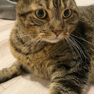 即引き渡し歓迎です。